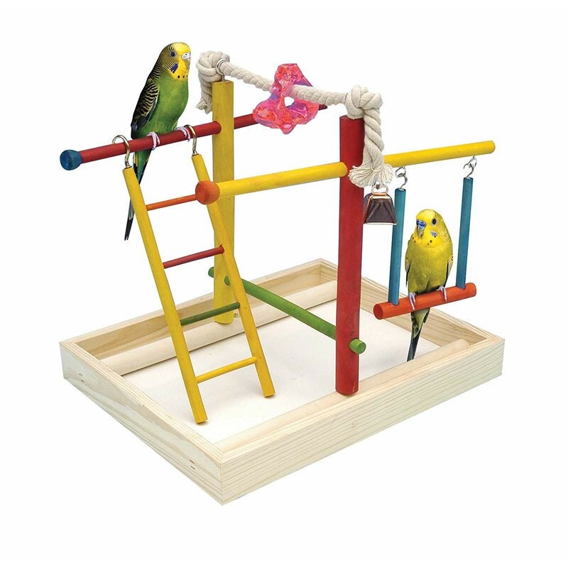 Parakeet play gym best sale